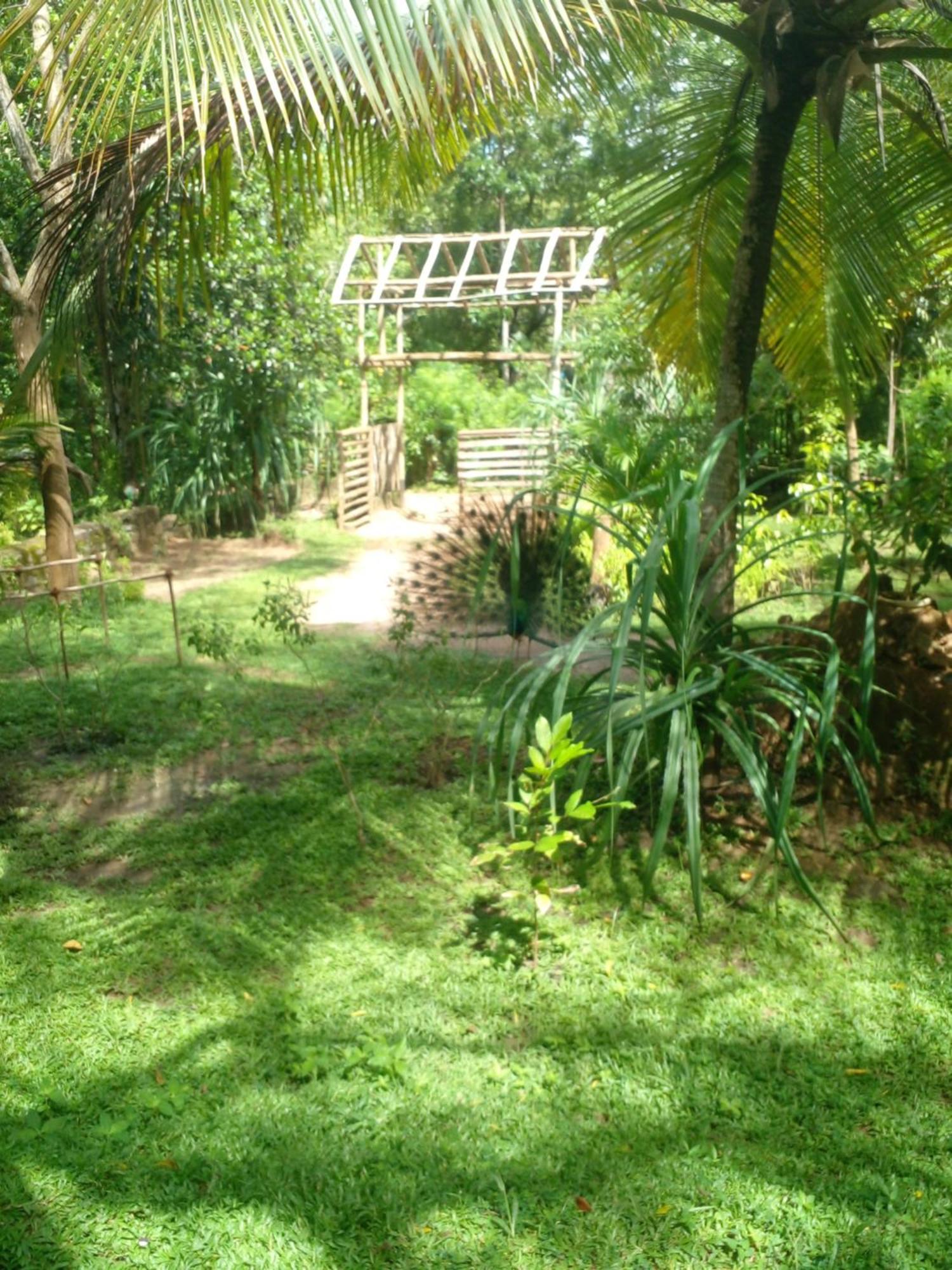 Home In The Island Tangalle Esterno foto