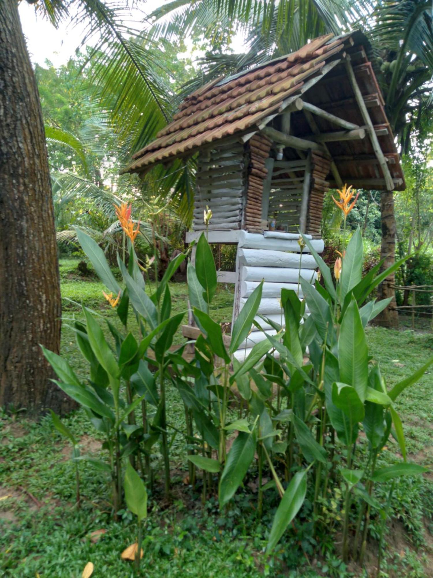 Home In The Island Tangalle Esterno foto