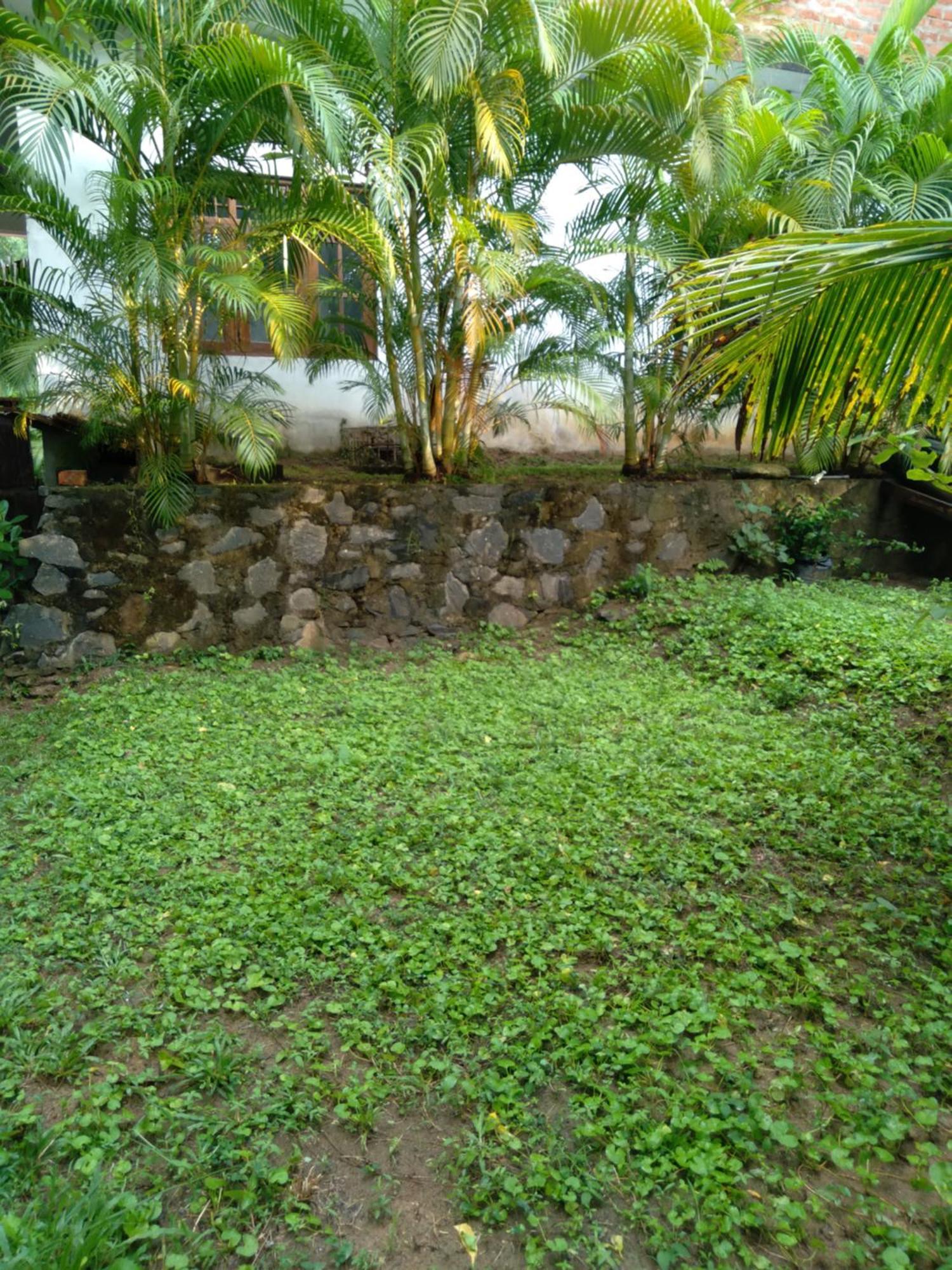 Home In The Island Tangalle Esterno foto