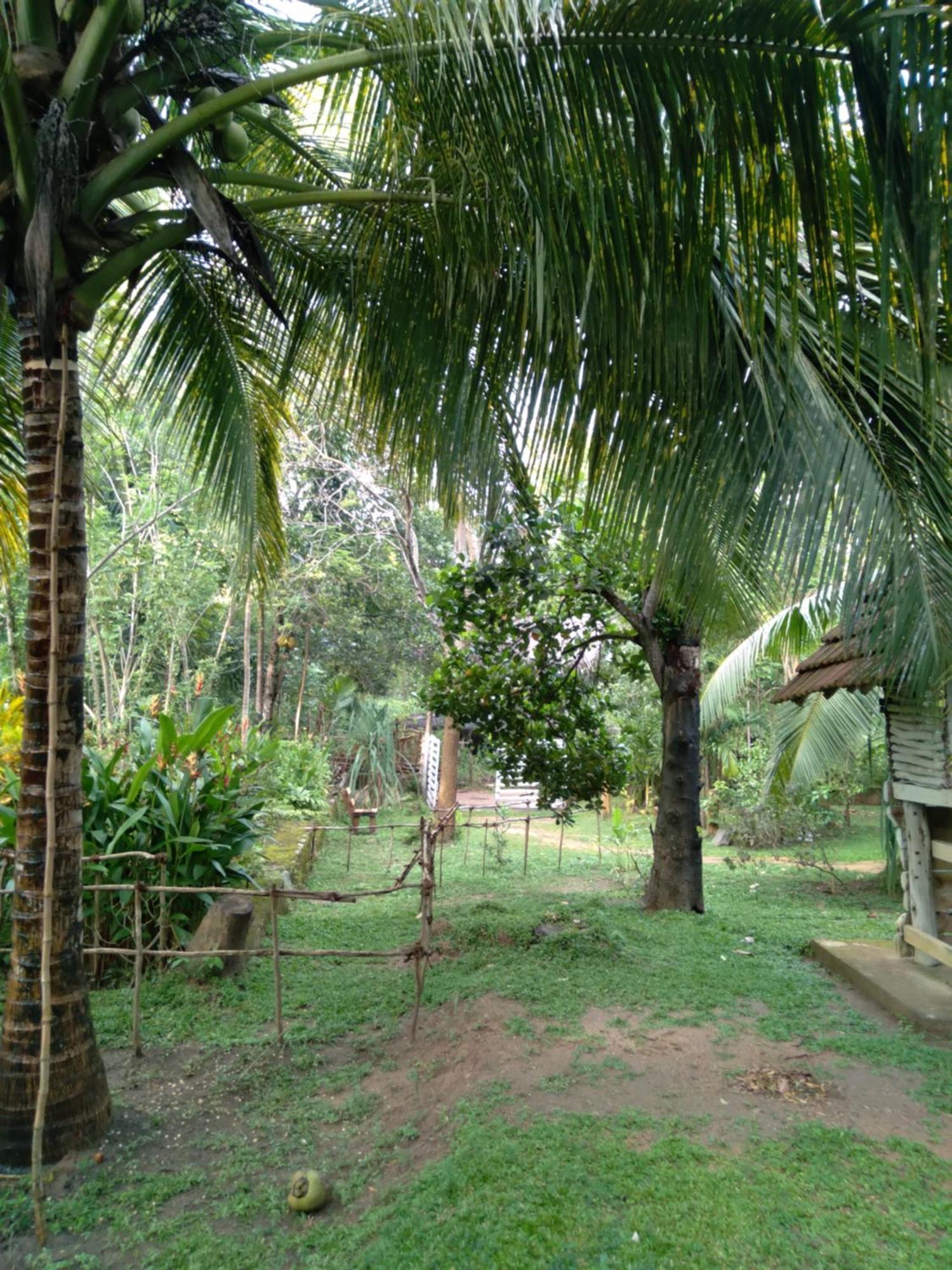 Home In The Island Tangalle Esterno foto