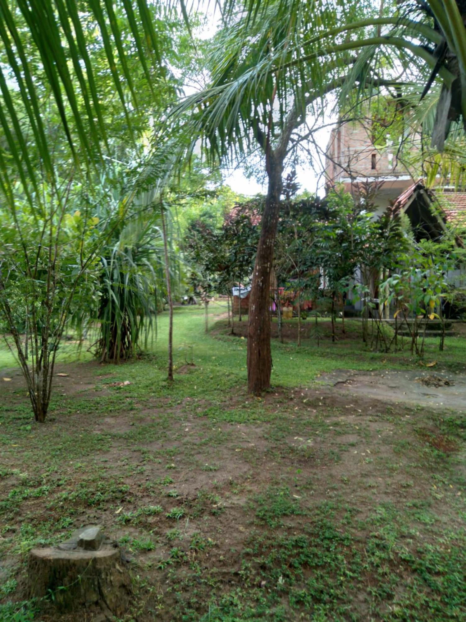 Home In The Island Tangalle Esterno foto